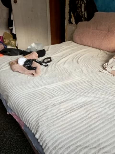 [2026-01-27 09:56] Cat-Bars69 Show (30m)