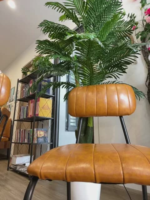 [2026-03-24 06:41] Clinic_Sexy Show (52m)