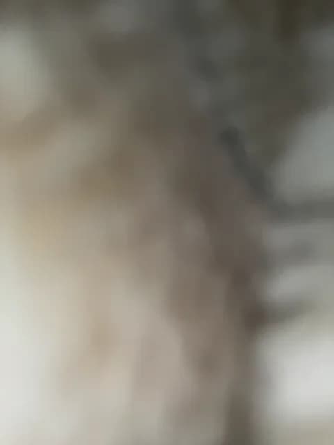 [2026-02-04 10:25] KARASEVDAKINOGO Show (78m)