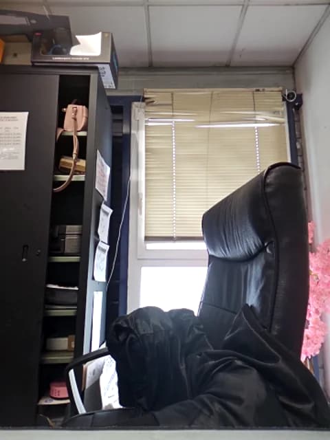 [2026-04-15 14:12] Sarajaymicorazon088 Show (120m)