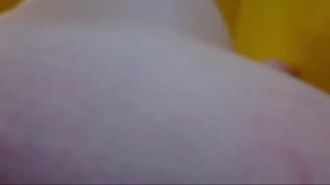 [2026-03-14 21:45] SklavinYuri Show (44m)