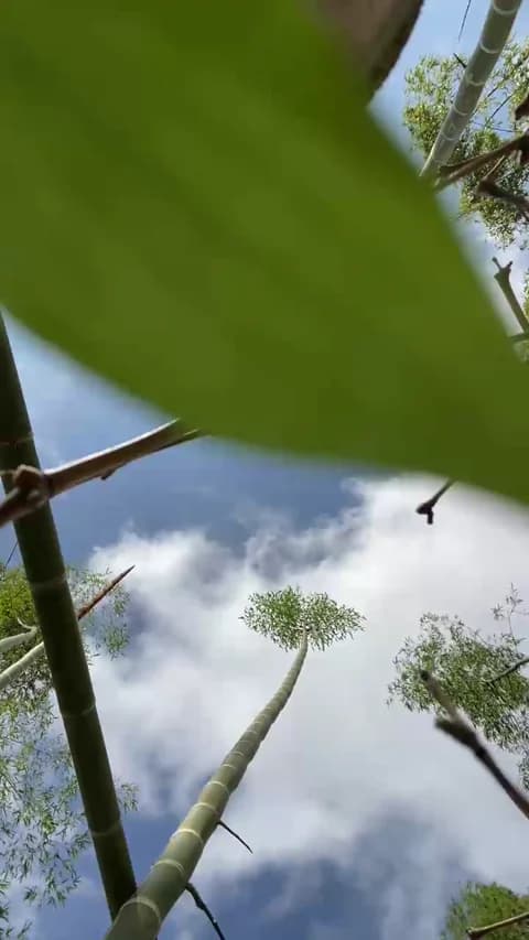 [2026-01-14 15:42] Stailers Show (41m)