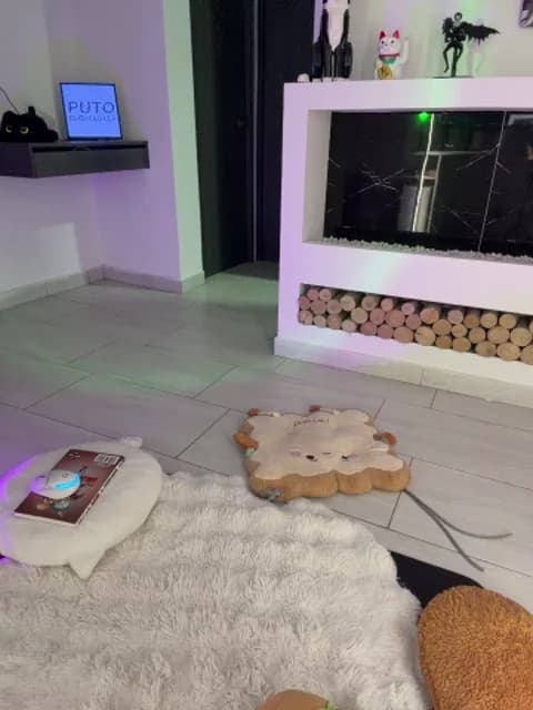 [2026-03-14 06:27] _nobara__ Show (36m)