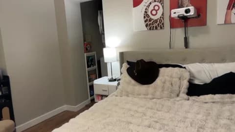 [2026-01-11] camilaaa15 Show (50m)