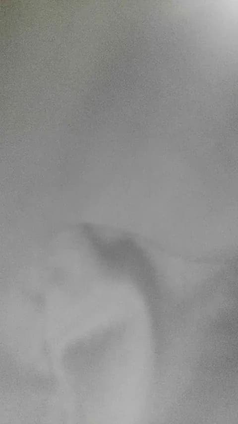 [2026-05-05 04:56] harucristal Show (62m)