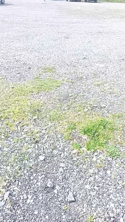 [2026-03-15 11:39] livenews1 Show (48m)