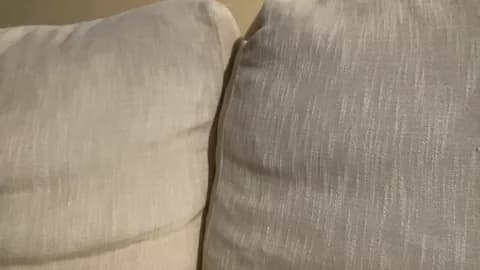 [2026-01-16 16:16] martinabigst Show (34m)